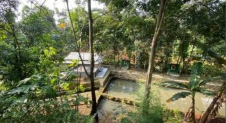 Kebun Jati Lengkap Dengan Kolam dan Bangunan