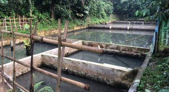 Jual Tanah Kosong + Kolam Ikan Di Cibadak