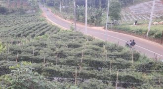 Dijual Tanah Murah Pinggir Jalan Cijapati Bandung-Garut